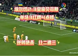 利记-诺里奇城客场失利，进攻缺乏效率难获分数