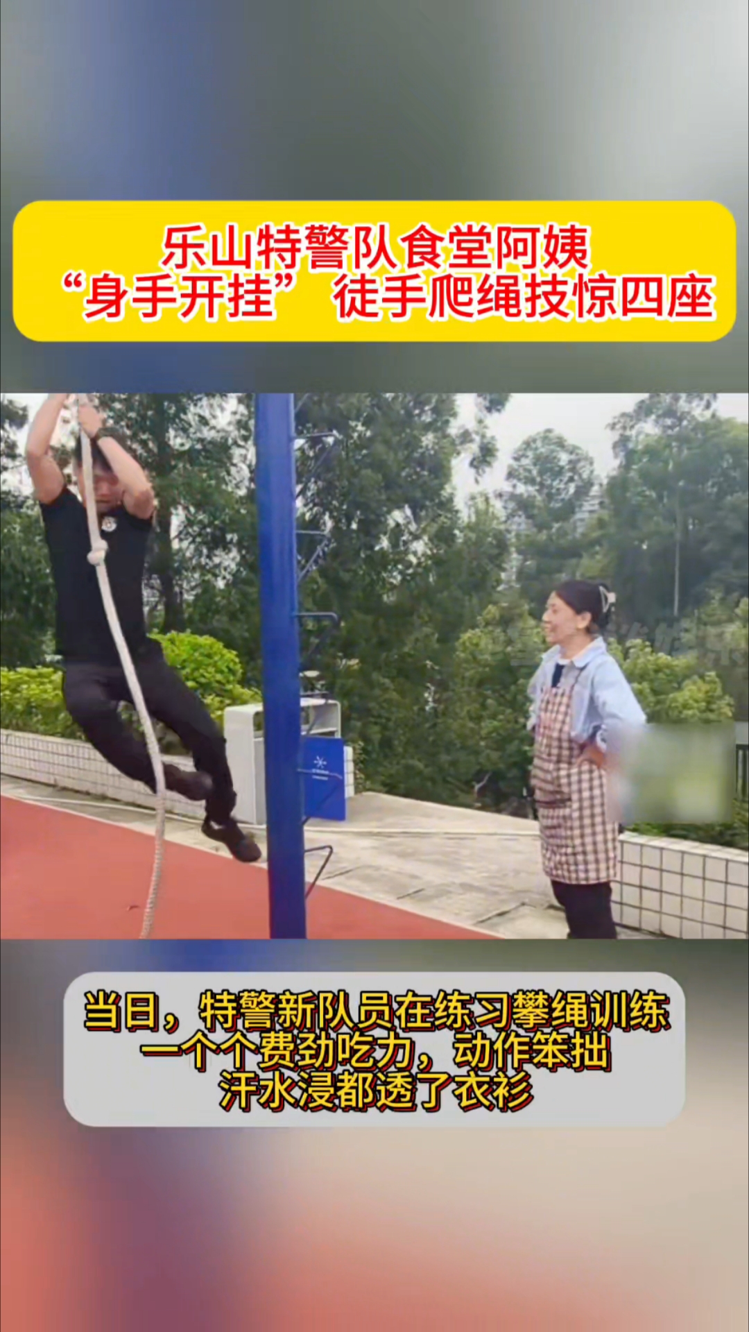 技惊四座！柔道高手灵活动作展现极致