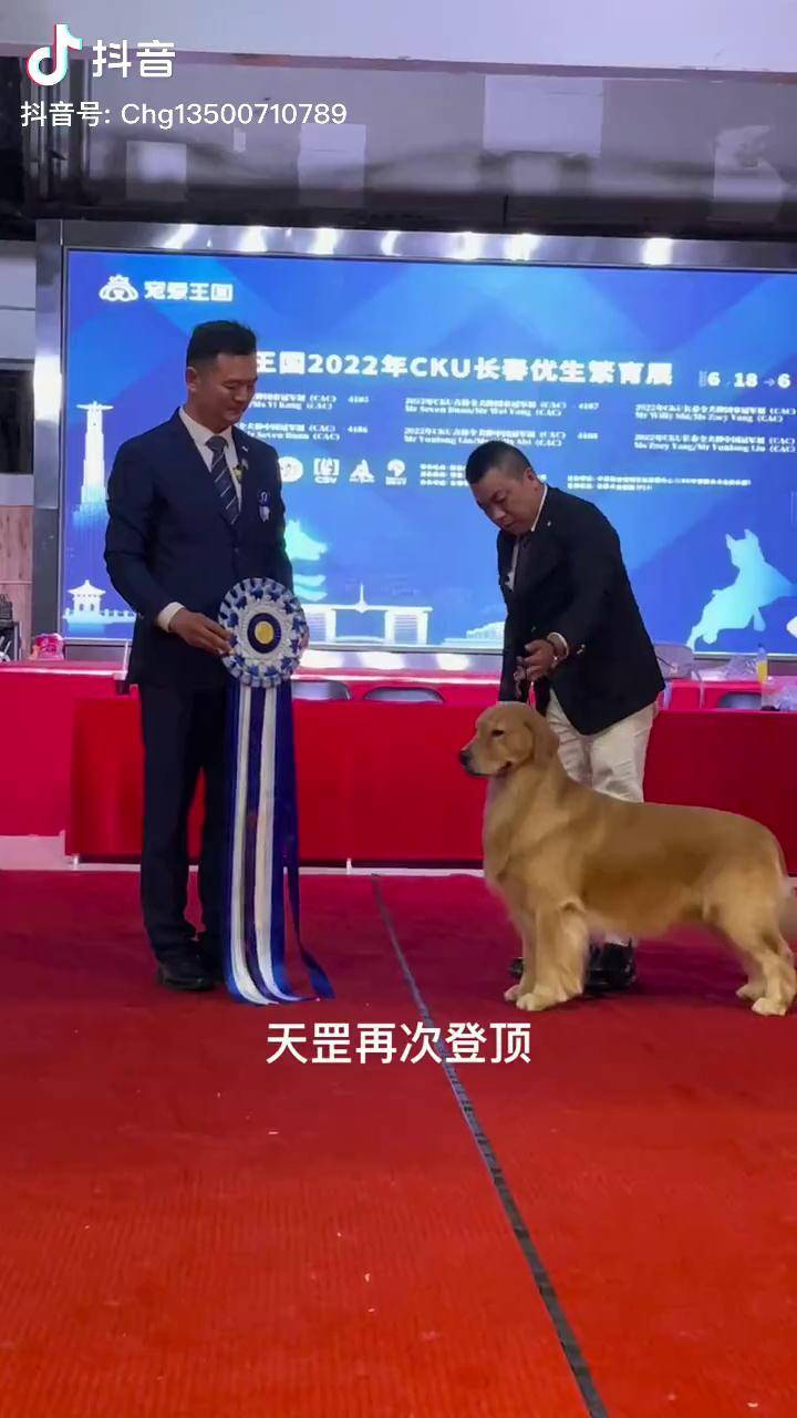 意大利代表团在跳水比赛中再次登顶领奖台