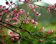 梅纳:展示出色技巧,令人印象深刻 梅纳:展示出色技巧,令人印象深刻