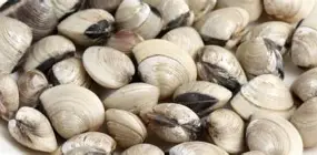 贝罗破头纪录接勇，毕列弗侗痞露显