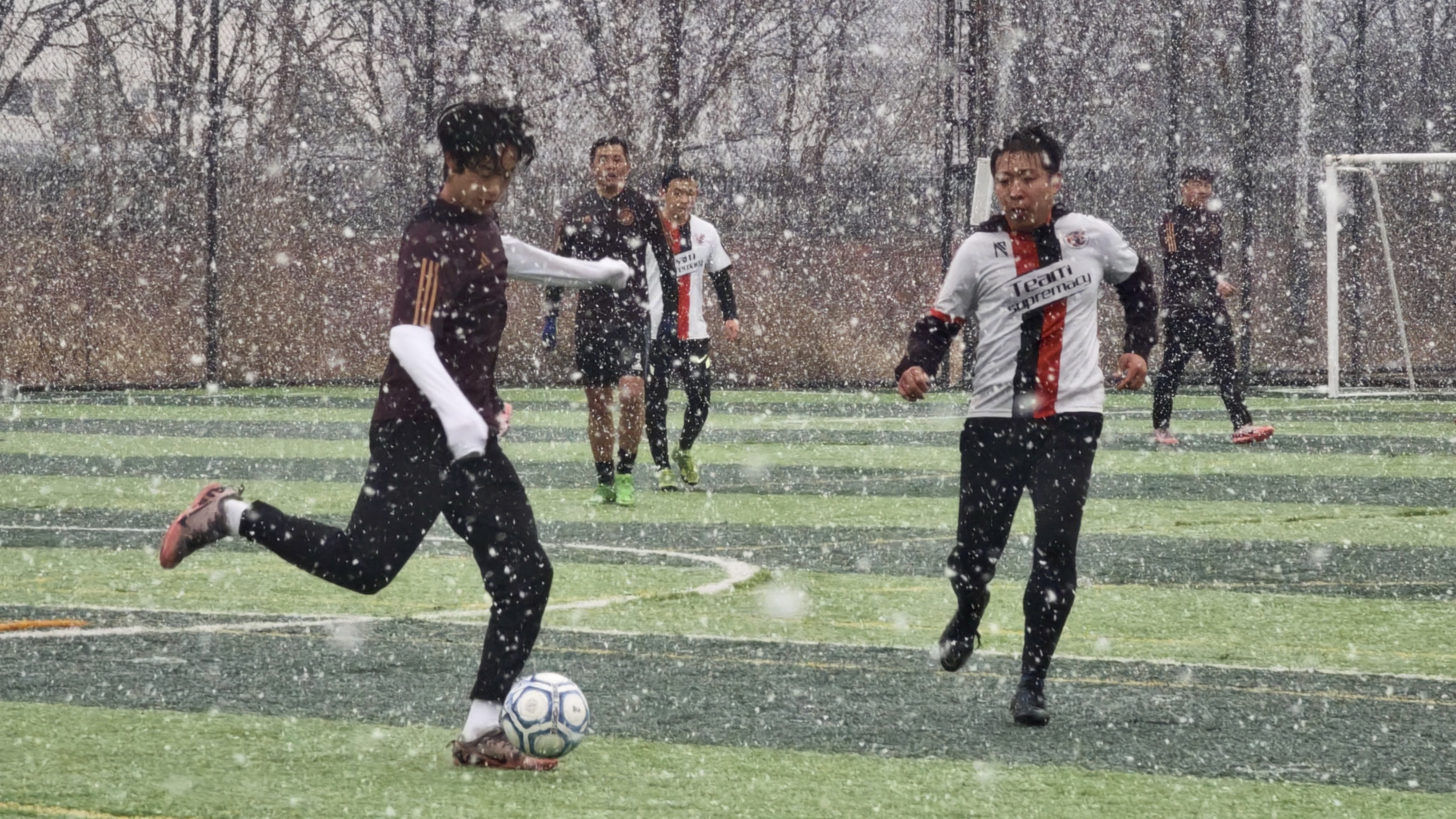 踢出风采!足球明星们在绿茵场上一展身手 踢出风采!足球明星们在绿茵场上一展身手