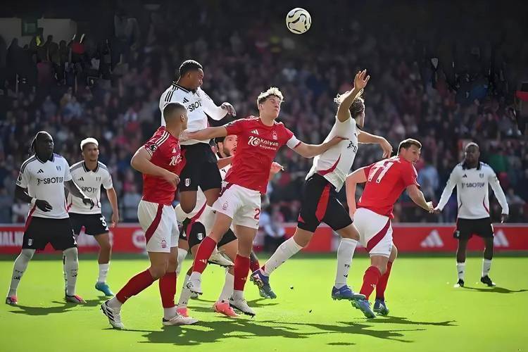 利记官方网站-摩纳哥客场击败梅斯，豪取三分