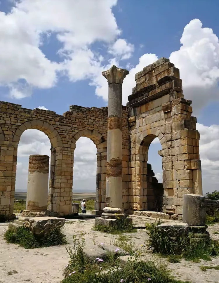 利记官网-摩洛哥运动员擒金彰显实力，一鸣惊人